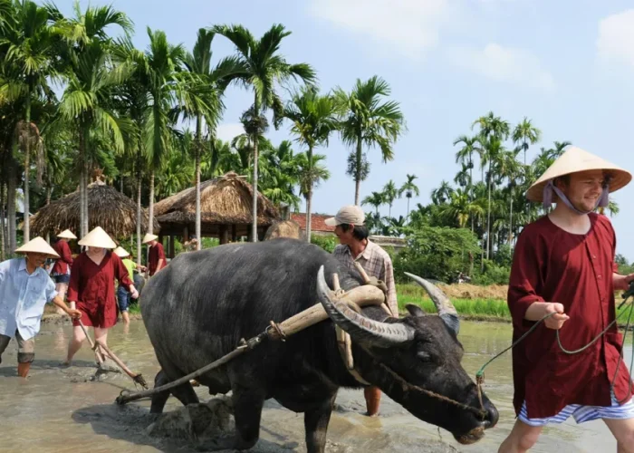 Hoi An Countrylife Tour Experience vela vietnam travel