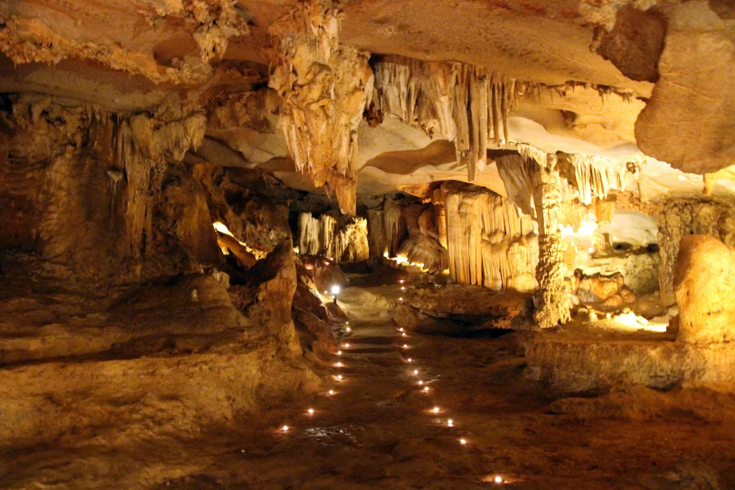 best cruise bai tu long bay vela vietnam travel