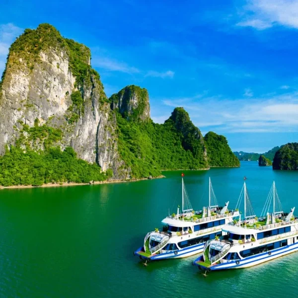 1 day luxury cruise halong bay vela vietnam travel