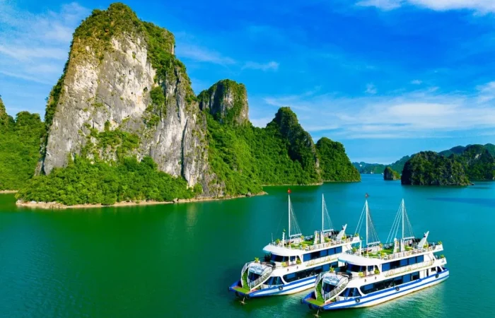 Queen halong bay cruise 1 day tour Vela Vietnam Travel