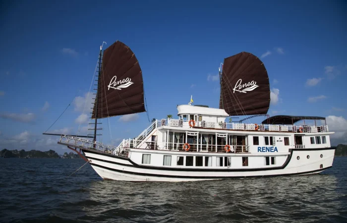 best cruise bai tu long bay vela vietnam travel