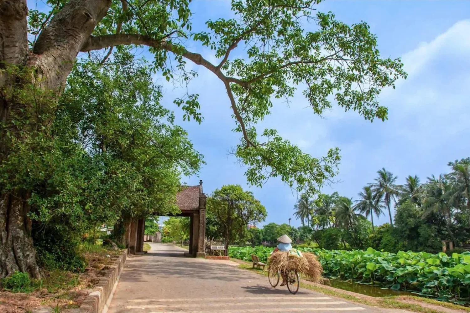 Hanoi Jeep Tour Explore Duong Lam Ancient Village Full Day Vela Vietnam Travel